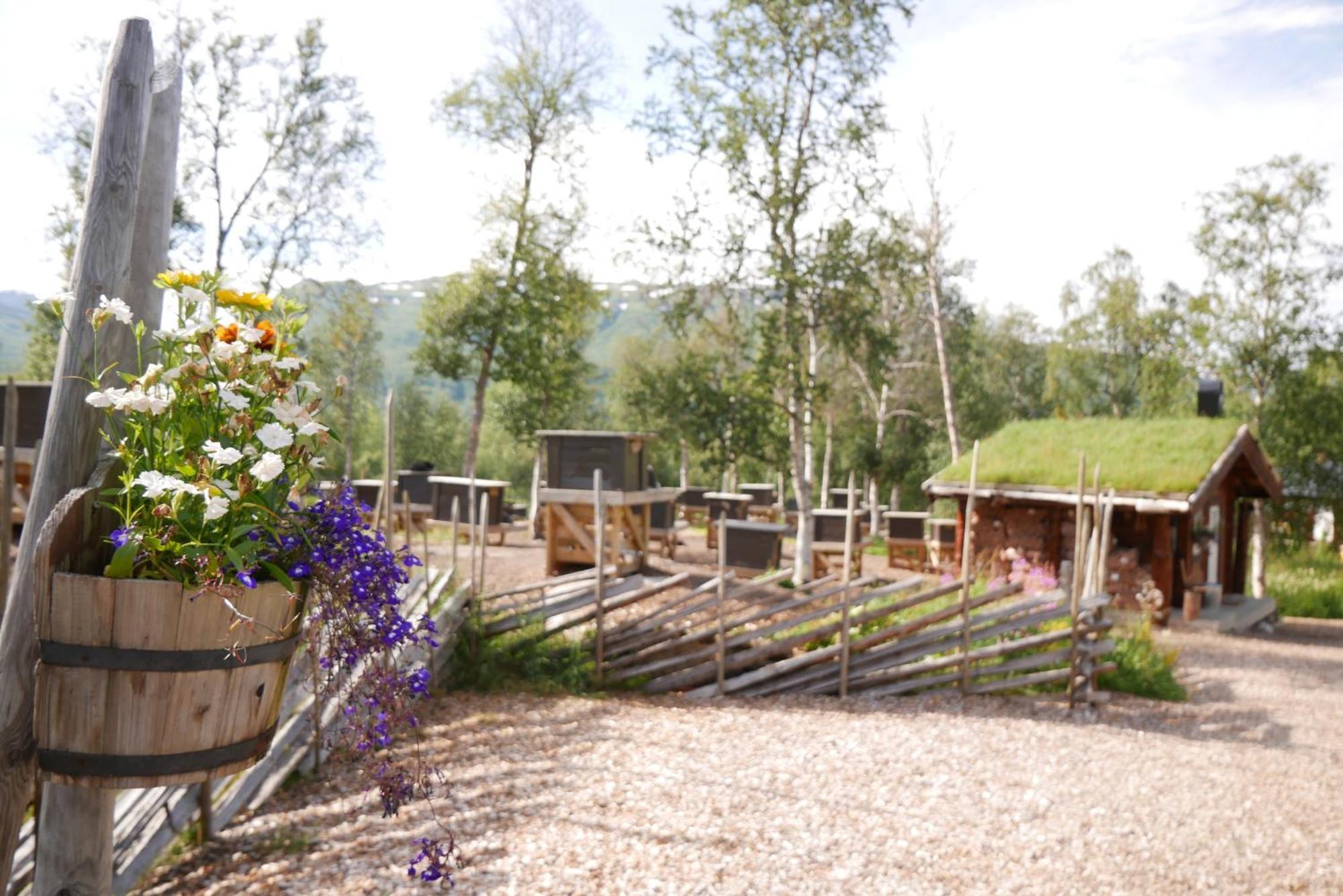 Bardu Huskylodge ภายนอก รูปภาพ