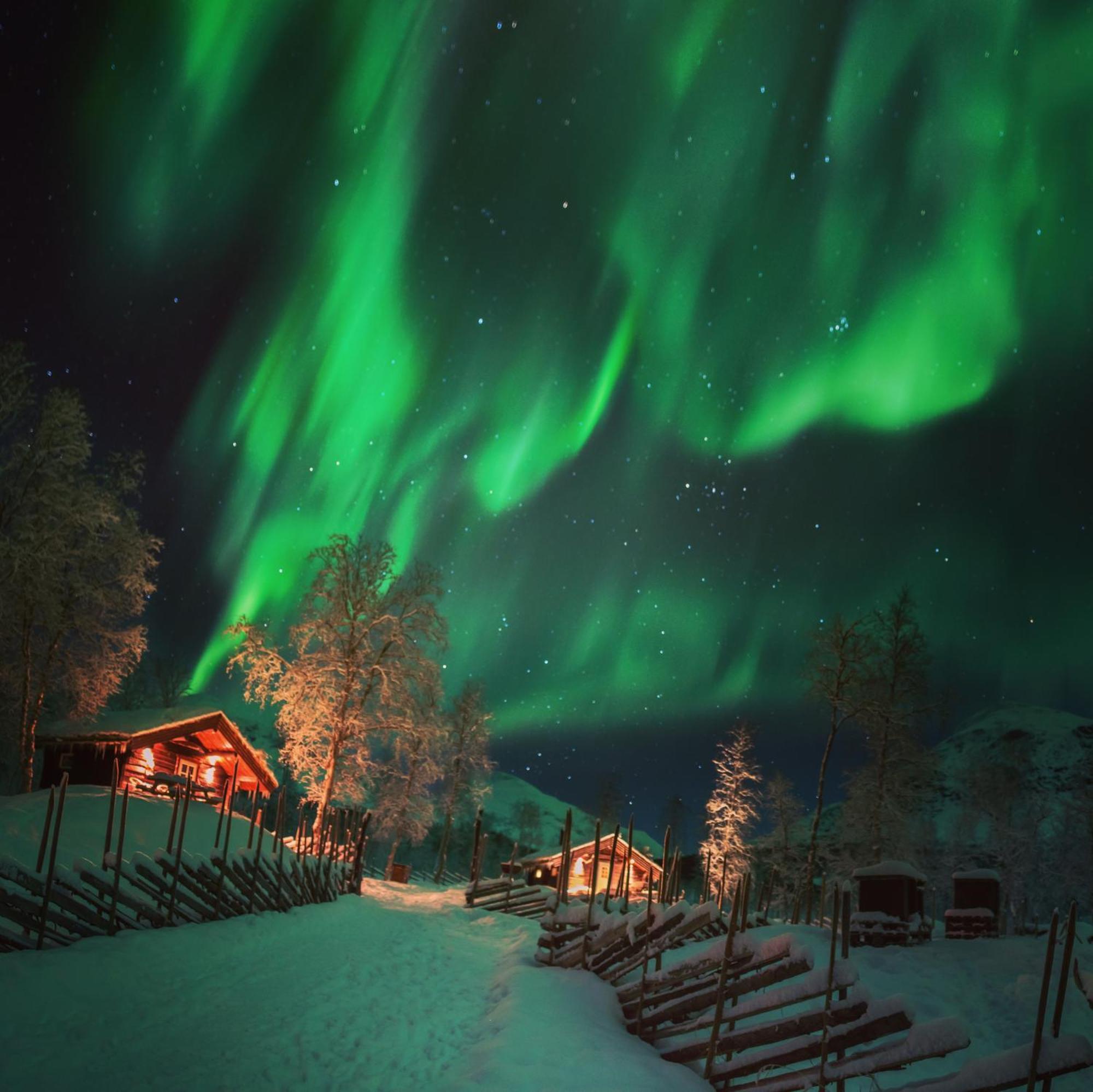 Bardu Huskylodge ภายนอก รูปภาพ