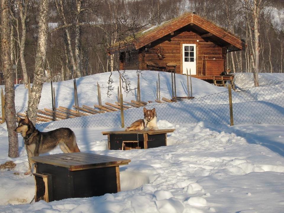Bardu Huskylodge ภายนอก รูปภาพ