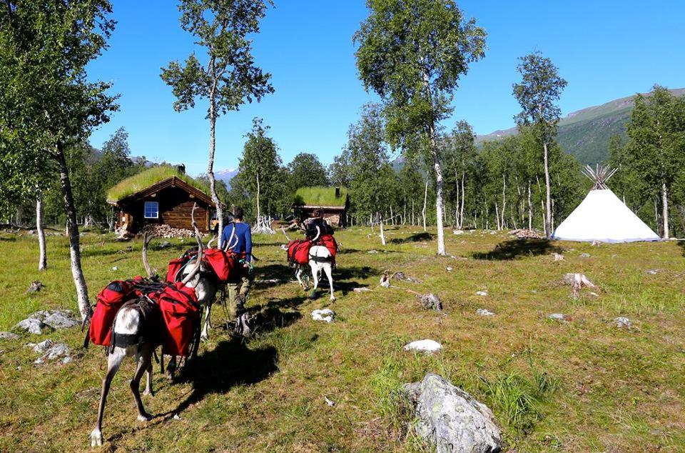 Bardu Huskylodge ภายนอก รูปภาพ