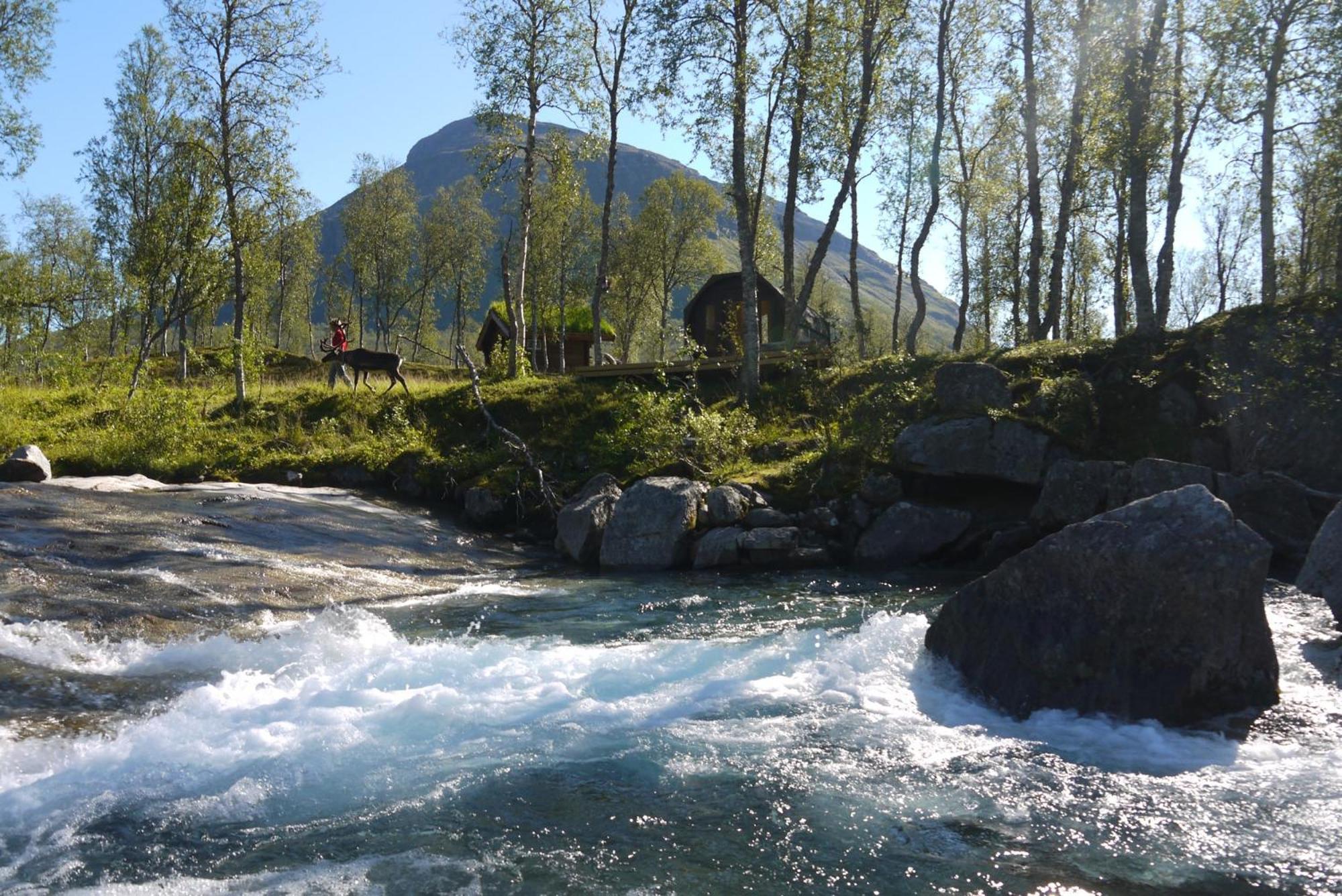 Bardu Huskylodge ภายนอก รูปภาพ